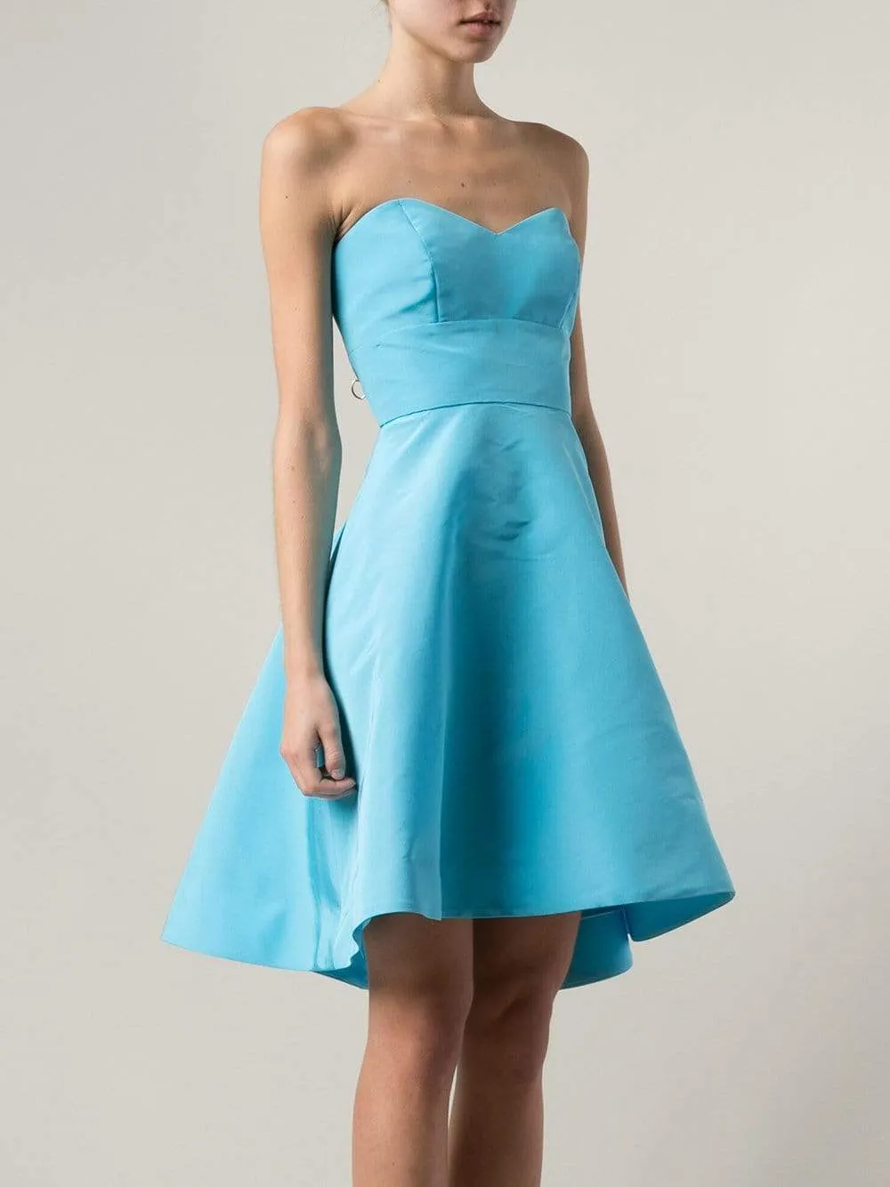 Strapless Faille A-Line Dress